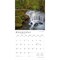 Washington Wild & Scenic | 2026 12 x 24 Inch (Hanging) Monthly Square Wall Calendar | Plastic-Free